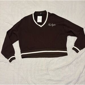 Brown V-Neck Sweater